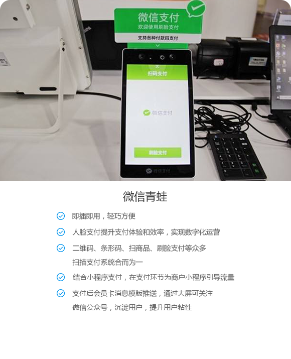 支付青蛙